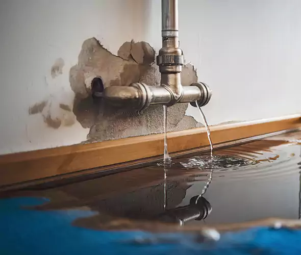 Professional Water Damage Restoration Experts in Hampton Bays, NY — Fast, Reliable & Certified