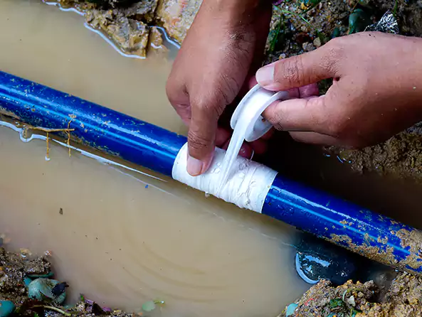  Why Choose Hampton Bays Plumbers for Leak Detection in Hampton Bays, NY?]