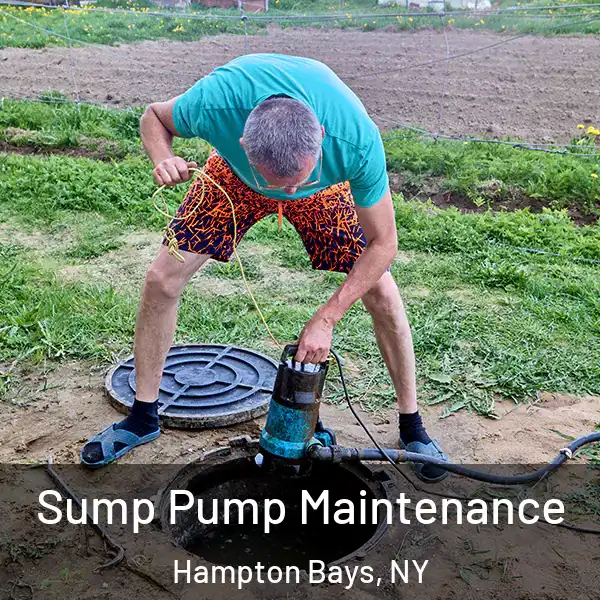  Sump Pump Maintenance Hampton Bays, NY
