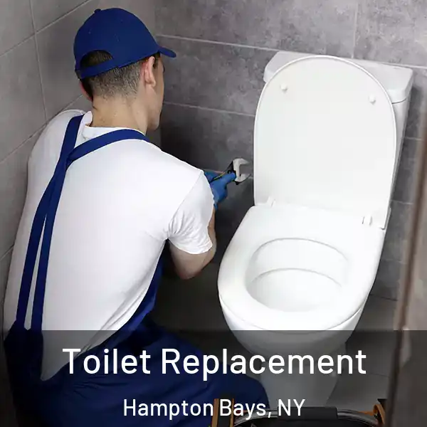  Toilet Replacement Hampton Bays, NY